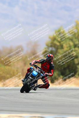 media/May-15-2022-SoCal Trackdays (Sun) [[33a09aef31]]/Turn 7 (1145am)/